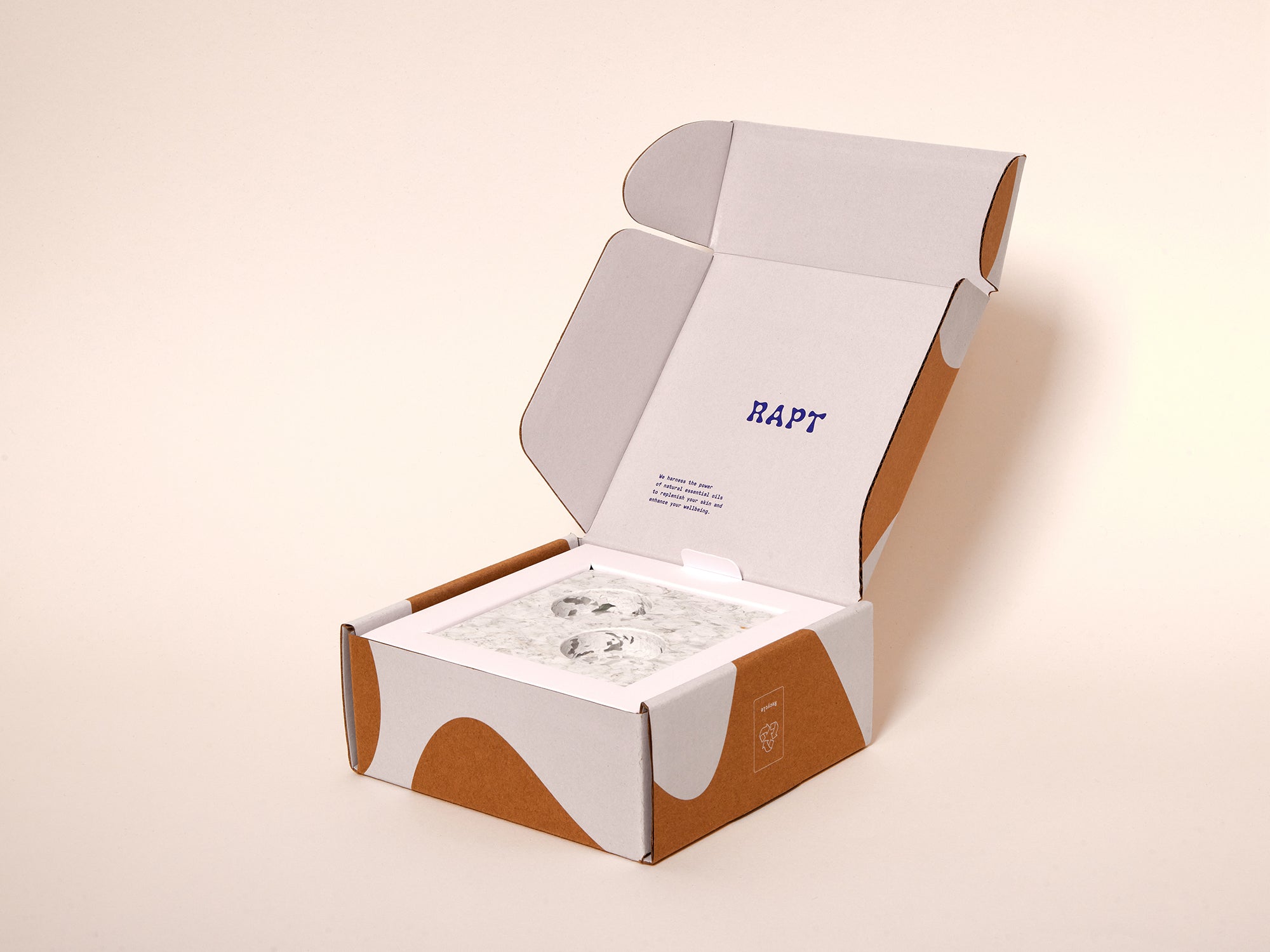 Rapt_eco_bottle_holder_in_box